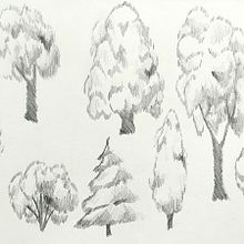 -Dibuix Artístic- Pràctica d'arbres. Een project van Tekening met potlood van Mireia Isabel Vázquez - 08.01.2023