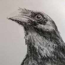 Animal illustration with charcoal and ink 2. Un projet de Illustration traditionnelle de bejuleo1 - 08.01.2023