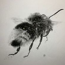 My project for course: Illustrating the Natural World with Watercolor and Charcoal. Projekt z dziedziny Trad, c, jna ilustracja,  Malarstwo, Ilustracja naturalist i czna użytkownika monica_jarnkvist - 08.01.2023