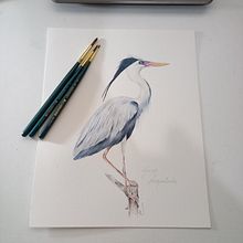 Meu projeto do curso: Ilustração naturalista de aves com aquarela. Traditional illustration, Watercolor Painting, Realistic Drawing, and Naturalistic Illustration project by Edi Assis - 01.08.2023