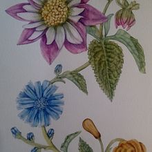 Mi proyecto del curso: Acuarela realista para composiciones botánicas. Traditional illustration, Painting, Drawing, Watercolor Painting, and Botanical Illustration project by Paula FERREYRA - 01.08.2023