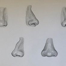 Facciones. Een project van Tekening met potlood van Ainhoa González García - 09.01.2023