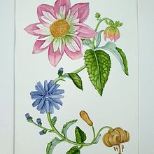 My project for course: Realistic Watercolor for Botanical Compositions. Traditional illustration, Painting, Drawing, Watercolor Painting, and Botanical Illustration project by Diyana - 01.09.2023