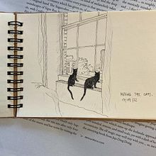 Various cat drawings. Drawing project by Josephine - 01.09.2023