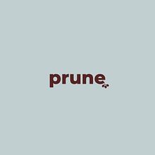 My project for course: Presentation Design: Create a Professional Template - Prune. Design Management, Graphic Design, Information Design, Marketing, Communication, and Presentation Design project by loughransmith55 - 01.06.2023