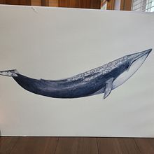 My project for course: Naturalist Illustration Techniques: Whales in Watercolor. Traditional illustration, Poster Design, Digital Illustration, and Manga project by Lydia Nathe - 01.09.2023