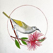 Mon projet du cours : Aquarelle : détails en filigrane et touches métalliques. Un progetto di Pittura ad acquerello di celine_martini - 10.01.2023