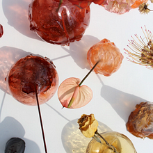 Flora Flora. Design, Floral, Plant Design & Industrial Design project by Daniel Ruiz - 01.11.2023