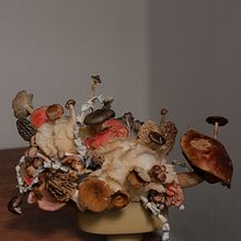 Esto que Somos. Floral, and Plant Design project by Daniel Ruiz - 01.11.2023