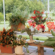 Taller en Rancho Chipicas. Un progetto di Design floreale e vegetale di Daniel Ruiz - 11.01.2023