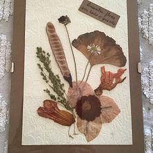 Meu projeto do curso:  Prensar flores e plantas. Un proyecto de Artesanía, Diseño floral, vegetal, Bellas Artes, Collage y DIY de Isabel Sousa - 11.01.2023
