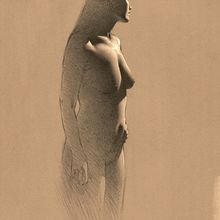 Nude in Profile. Design project by Gustavo Ramos - 01.11.2023