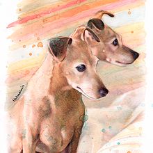 Italian greyhound portrait  Ein Projekt aus dem Bereich Traditionelle Illustration, Porträtzeichnung, Aquarellmalerei und Zeichnen mit Buntstiften von Mentiradeloro Esther Cuesta - 12.01.2023