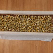 Sabonete argila verelha. Een project van Craft van Raquel Pereira de Almeida - 13.01.2023