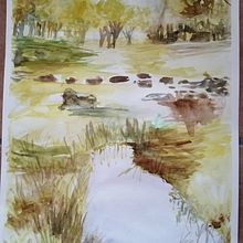 Il mio progetto del corso: Paesaggi naturali ad acquerello. Un projet de Beaux Arts, Peinture , et Aquarelle de Alice Baldin - 13.01.2023