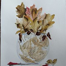 Il mio progetto del corso: Illustrare la natura: esplorazione creativa. Traditional illustration, Painting, Drawing, Watercolor Painting, Ink Illustration, and Naturalistic Illustration project by Alice Baldin - 01.13.2023