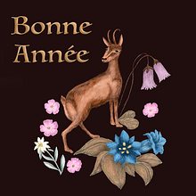 Project : Digital Naturalist Illustration. Traditional illustration, Graphic Design, and Naturalistic Illustration project by Véronique Gaudiot - 01.14.2023