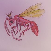 Notebook sketches . Un progetto di Illustrazione tradizionale di bdobbs - 14.01.2023