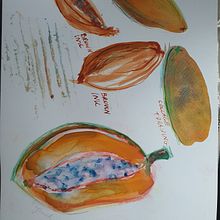 Mój projekt z kursu: Malowanie przyrody: twórcze poszukiwania. Traditional illustration, Painting, Drawing, Watercolor Painting, Ink Illustration, and Naturalistic Illustration project by Joanna WYSOCKA - 01.15.2023