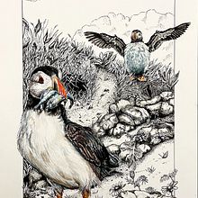 My project for course: Dip Pen and Ink Illustration: Capturing The Natural World. Sketching, Drawing, Artistic Drawing, Sketchbook, Ink Illustration, and Naturalistic Illustration project by Julie Gorringe - 01.15.2023