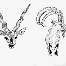 Mi proyecto del curso: Sketching diario como inspiración creativa. Traditional illustration, Sketching, Creativit, Drawing, and Sketchbook project by Rocio Hervas S. - 01.15.2023