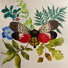 My project for course: Botanical Watercolor Painting of the Natural World. Fine Arts, Painting, Watercolor Painting, Botanical Illustration, and Naturalistic Illustration project by Catalina Ionescu - 01.12.2023