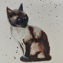 Mein Abschlussprojekt für den Kurs: Ausdrucksstarke Tierporträts in Aquarell. Un proyecto de Ilustración tradicional, Pintura a la acuarela, Dibujo realista e Ilustración naturalista				 de morena.koebke - 16.01.2023