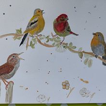 Mein Abschlussprojekt für den Kurs: Illustriere Vögel mit expressiven Aquarelltechniken. Un proyecto de Ilustración tradicional, Pintura a la acuarela, Dibujo realista e Ilustración naturalista				 de morena.koebke - 16.01.2023