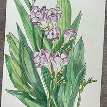 Il mio progetto del corso:  Sketchbook botanico: un approccio meditativo. Un progetto di Illustrazione tradizionale, Bozzetti, Disegno, Pittura ad acquerello, Illustrazione botanica e Sketchbook di Isabella Guaitoli - 16.01.2023