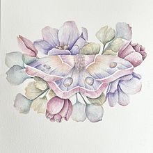 My project for course: Naturalist Illustrations with Watercolors: Drawing and Composition. Ilustração tradicional, Desenho, Pintura em aquarela e Ilustração naturalista projeto de laura_261917 - 15.01.2023