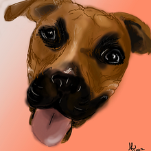 dog portraits. Ilustração tradicional projeto de Nora Rudnick - 14.12.2022