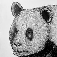 My project for course: Naturalistic Animal Drawing with Graphite Pencil. Een project van Traditionele illustratie, Tekening met potlood,  Tekening y Naturalistische illustratie van Anna-Maria Säntti - 17.01.2023