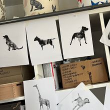 My project for course: Animal Illustration with Charcoal and Ink. Drawing, Ink Illustration, Naturalistic Illustration, and Fine Arts project by Wendi Bowron Weller - 01.14.2023