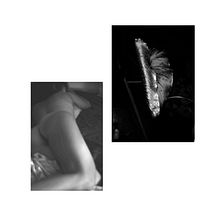 Metamorfosis . Een project van Fotografie, Fotografische postproductie, Portretfotografie,  Fotografische verlichting, Studiofotografie, Artistieke fotografie y Fotografische zelfportretten van beatriz_alcala - 17.01.2023