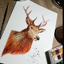 Mon projet du cours : Portraits expressifs d'animaux à l'aquarelle . % Elisabeth Gilson tarafından hazırlanan Geleneksel illüstras, on, Sulubo, a Resim, Gerçekçi Çizim, Doğalcı İllüstras, Ve on projesi - 01.17.2023