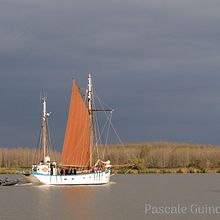 Mon projet du cours : La théorie des couleurs en photographie. Un progetto di Fotografia, Ritocco fotografico, Fotografia digitale, Composizione fotografica e Teoria del colore di p.m.guinchard - 18.01.2023