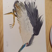 My project for course: Naturalist Watercolor with Expression and Personality. Un projet de Illustration traditionnelle, Aquarelle et Illustration naturaliste de Sara Gomes de Almeida - 19.01.2023