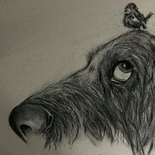 Meu projeto do curso: Ilustração de animais com carvão vegetal e tinta. Fine Arts, Drawing, Ink Illustration, and Naturalistic Illustration project by Cesar Lacerda - 01.19.2023