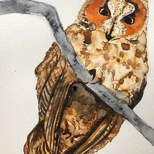 My project for course: Expressive Animal Portraits in Watercolor. Projekt z dziedziny Trad, c, jna ilustracja, Malowanie akwarelą, R, sunek realist, czn, Ilustracja naturalist i czna użytkownika Eva Kadar - 20.01.2023