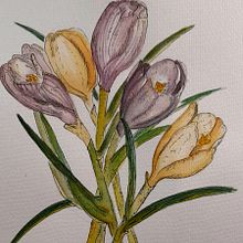 Mi proyecto del curso: Ilustración de la naturaleza con acuarela y plumilla Ein Projekt aus dem Bereich Traditionelle Illustration, Bildende Künste, Malerei, Zeichnung, Aquarellmalerei und Botanische Illustration von David Cano - 20.01.2023