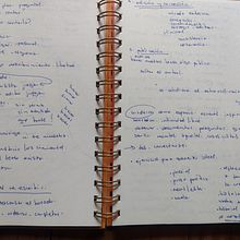 Mi proyecto del curso: Gimnasio de escritura: de la hoja en blanco a la práctica cotidiana Ein Projekt aus dem Bereich Schrift, Kreativität, Stor, telling, Erzählung und Kreatives Schreiben von Ana Suárez - 21.01.2023