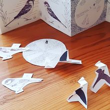 Pop up Observando las Aves del Barrio. Un proyecto de Ilustración tradicional de Alejandra Fernández - 01.09.2019