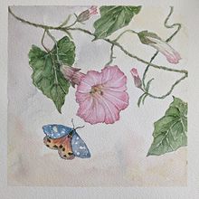 My project for course: Naturalistic Illustration in Watercolor and Gouache . % Ellyn Gaspardi tarafından hazırlanan Güzel sanatlar, Sulubo, a Resim, Botanik İllüstras, on, Doğalcı İllüstras, on, Guaj Bo, Ve ama projesi - 01.20.2023