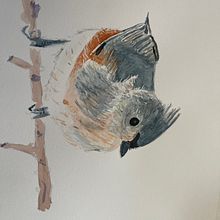 artistic watercolor course. Watercolor Painting project by swilliamsdo - 01.19.2023