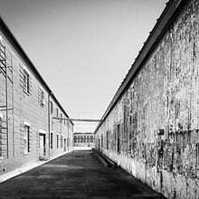 1 Ein Projekt aus dem Bereich Fotografie von Erica Lynn - 21.01.2023