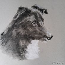 Charcoal portrait 'Flea'. Traditional illustration, and Fine Arts project by suemackenzie186 - 01.22.2023
