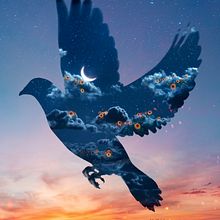 Who looks outside, dreams; who looks inside, awakes. -Carl Jung. Een project van  Ontwerp, Fotomontage, Digitale fotografie,  Concept art y  Beeldende kunst van Natacha Einat - 20.01.2023
