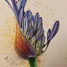 Il mio progetto del corso: Acquerello con dettagli delicati e tocchi metallici. Un progetto di Illustrazione tradizionale, Pittura, Pittura ad acquerello, Illustrazione botanica, Illustrazione naturalistica e Pittura decorativa di supersilvia74 - 22.01.2023