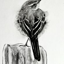 Lesson in values Ein Projekt aus dem Bereich Traditionelle Illustration, Realistische Zeichnung und Naturalistische Illustration von oldriska.chutna - 23.01.2023