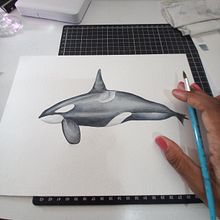 Meu projeto do curso: Técnicas de ilustração naturalista: baleias em aquarela. Un proyecto de Bellas Artes, Pintura, Pintura a la acuarela e Ilustración naturalista				 de Edi Assis - 23.01.2023